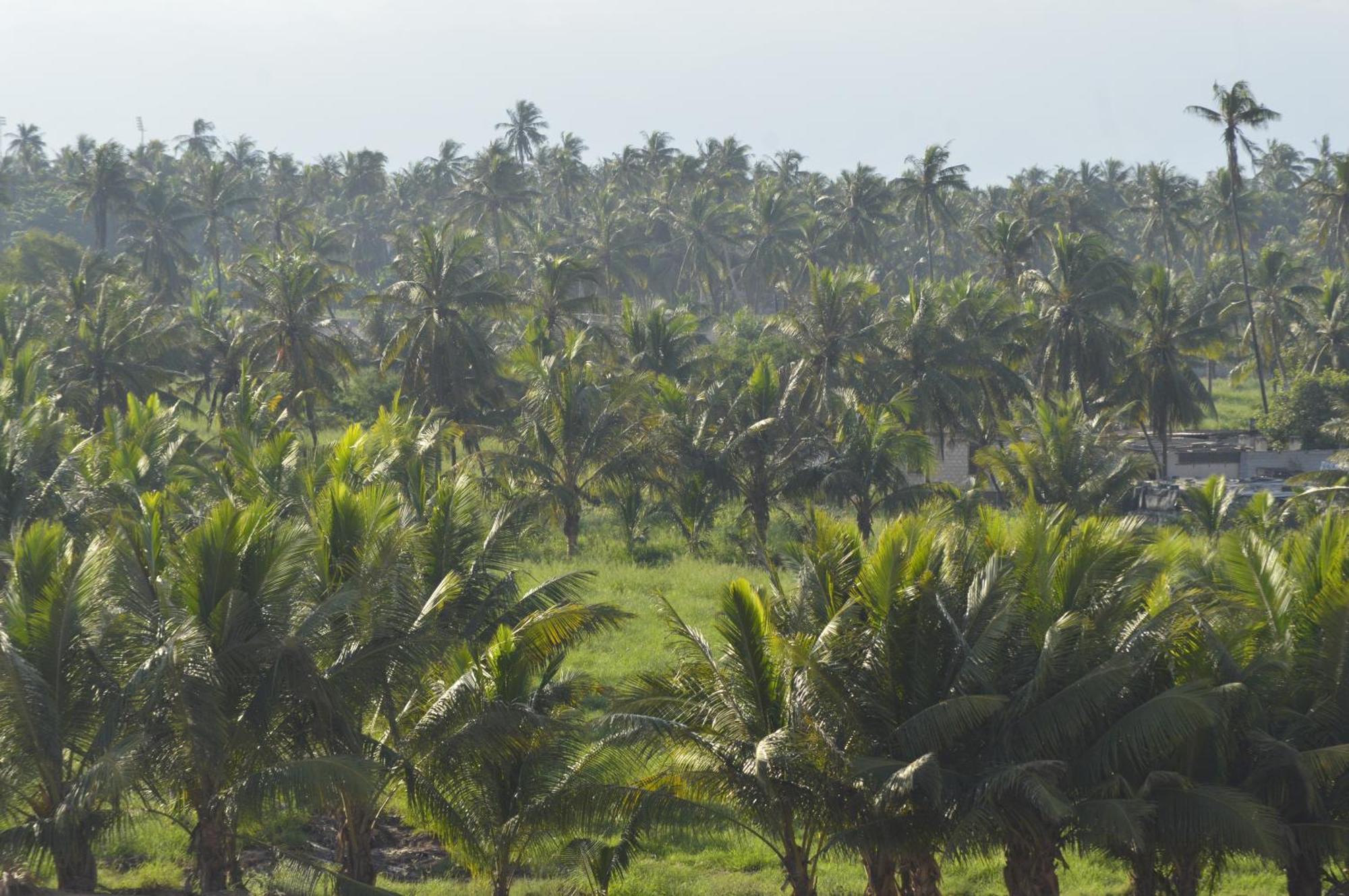 Beautiful Salalah Beach Apartments - 2 By Beautiful Salalah Tours Eksteriør billede